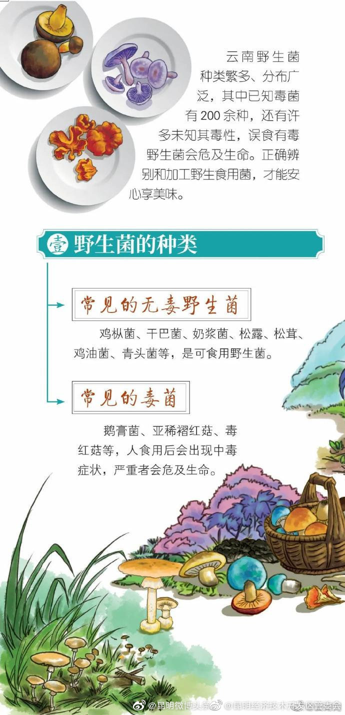 “昆明经济技术开发区管委会”微博
