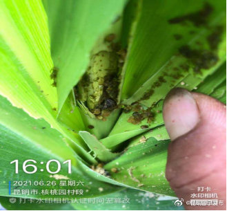 “昆明晋宁发布”微博