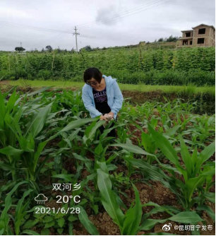 “昆明晋宁发布”微博
