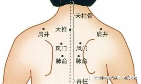 云南中医药大学第二附属医院(微信)