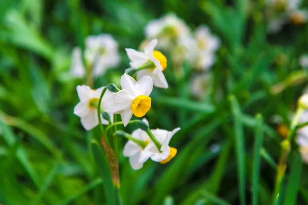 云南中医药大学第二附属医院(微信)