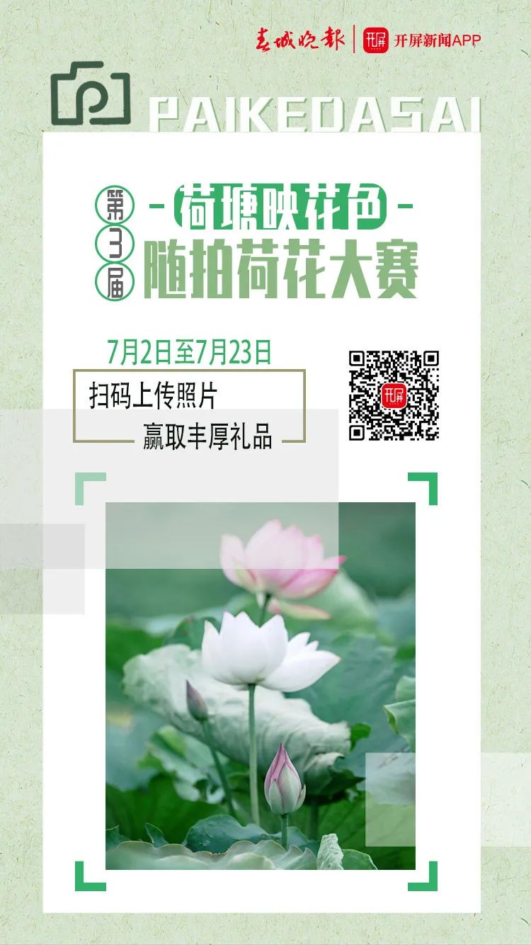 春城晚报(微信)