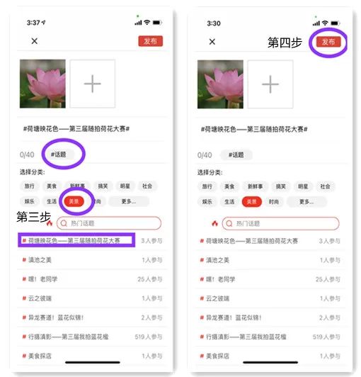 春城晚报(微信)