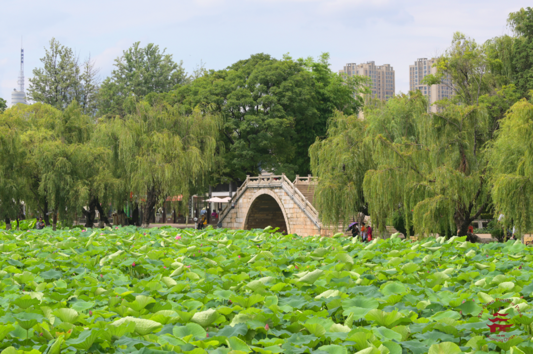 大观楼