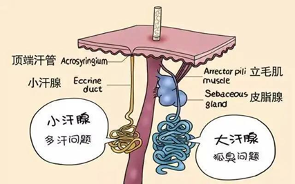 昆明市第一人民医院(微信)