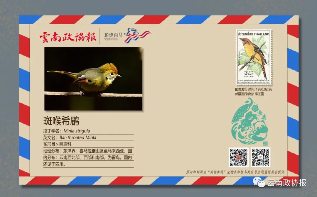 云南政协报(微信)