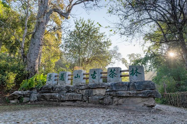普洱日报(微信)