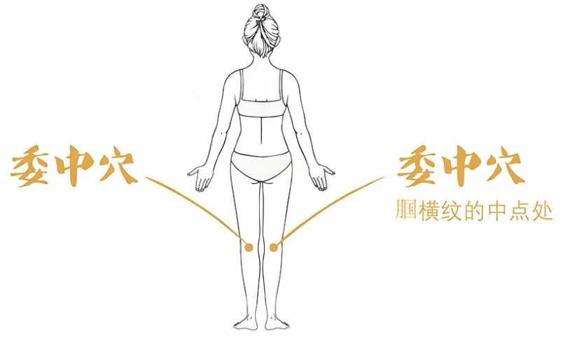 云南中医药大学第二附属医院(微信)