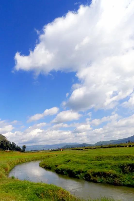 昆明生态环境(微信)