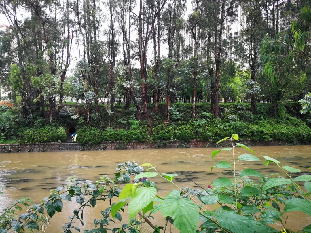 昆明生态环境(微信)