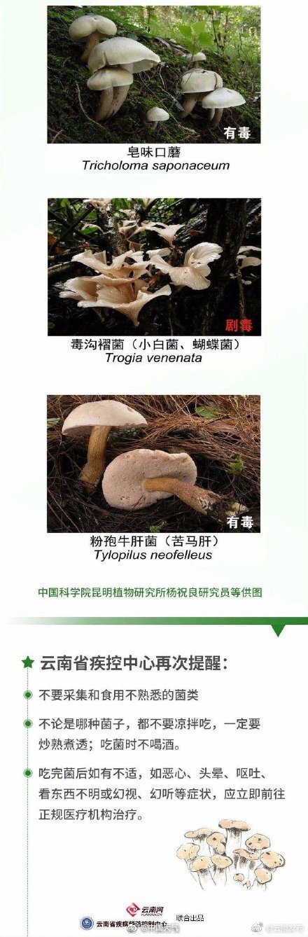“云南发布”微博