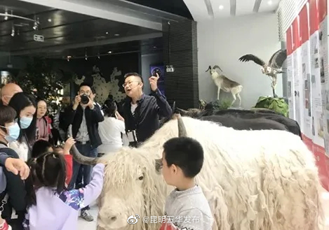 “昆明五华发布”微博