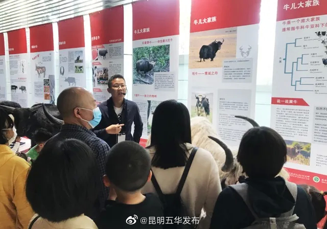 “昆明五华发布”微博