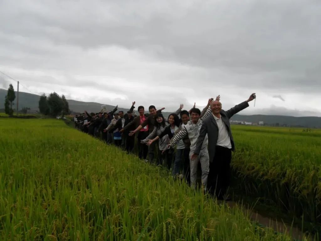 大理日报(微信)