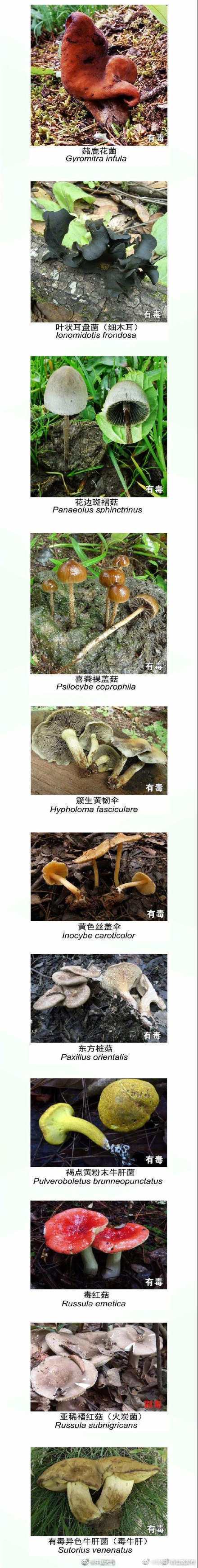 “昆明市西山区发布”微博