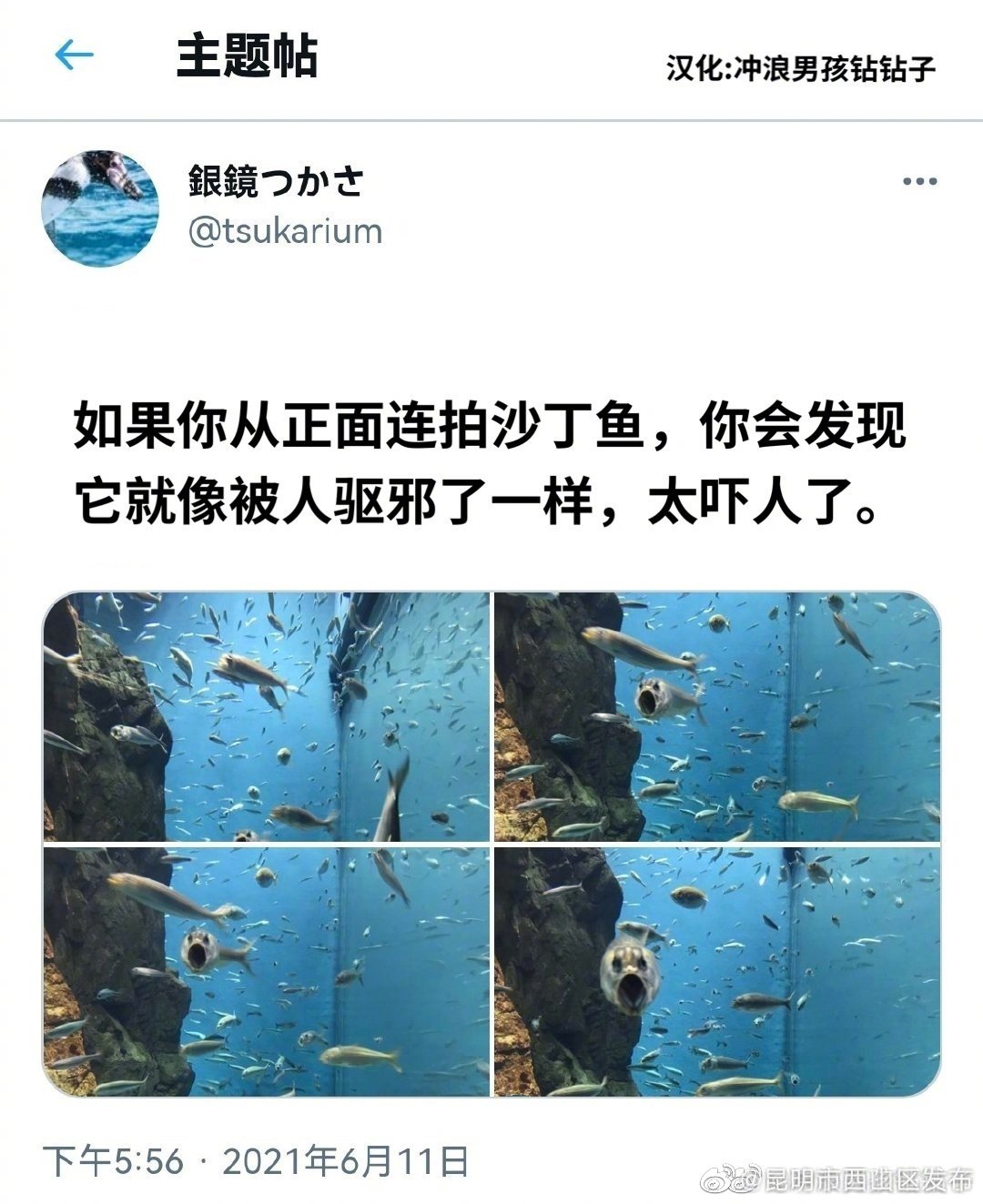 “昆明市西山区发布”微博