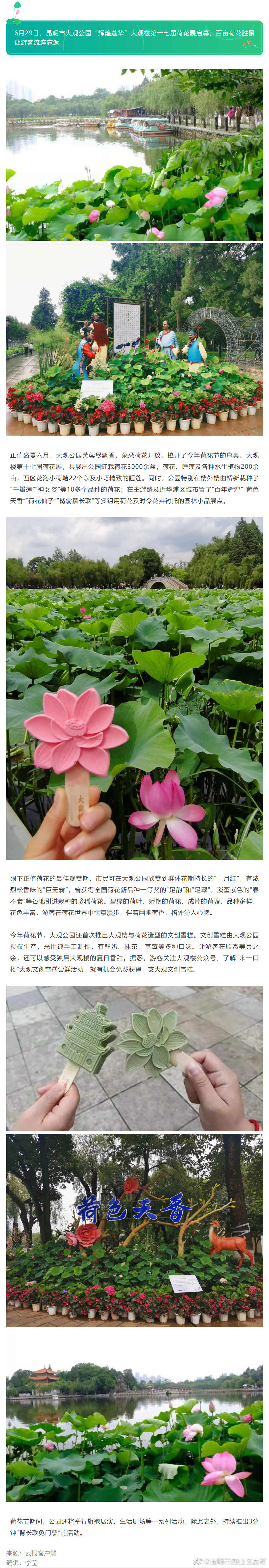昆明大观楼第十七届荷花展启幕 文创雪糕长这样→