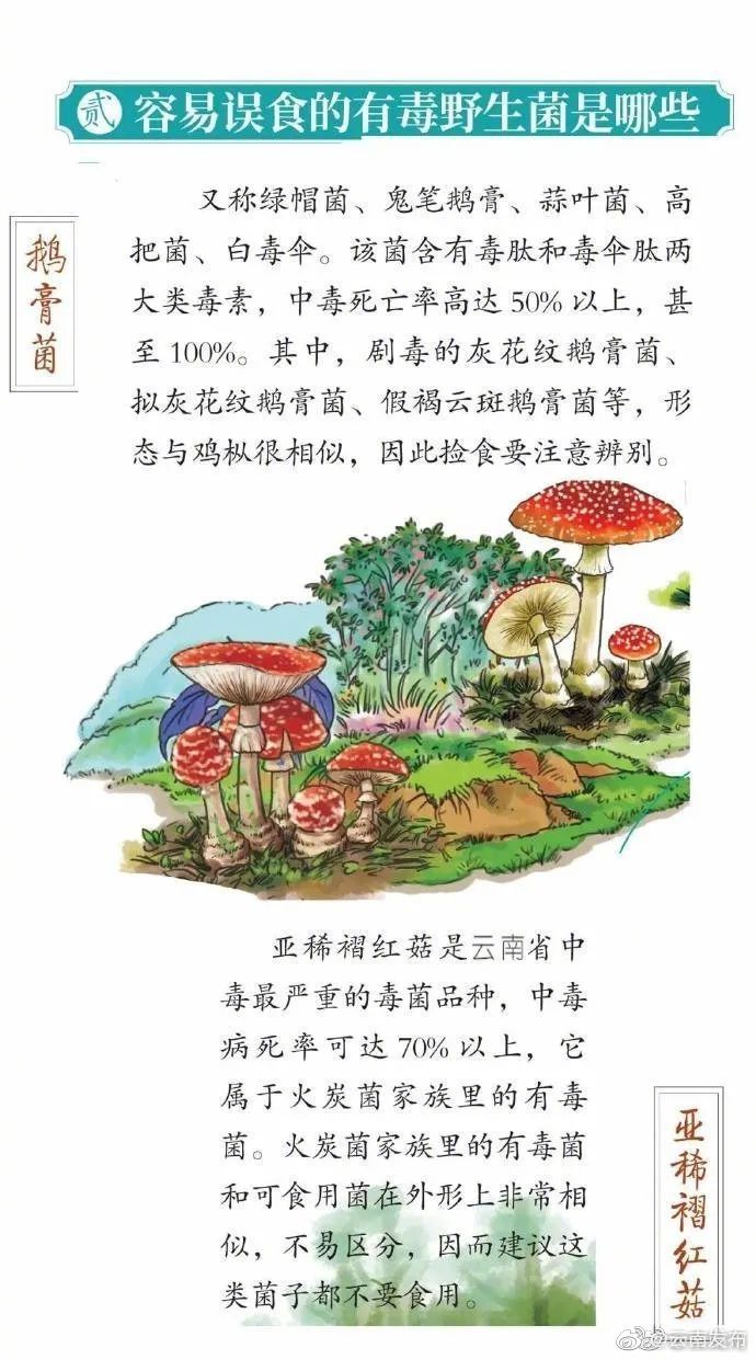 “云南发布”微博