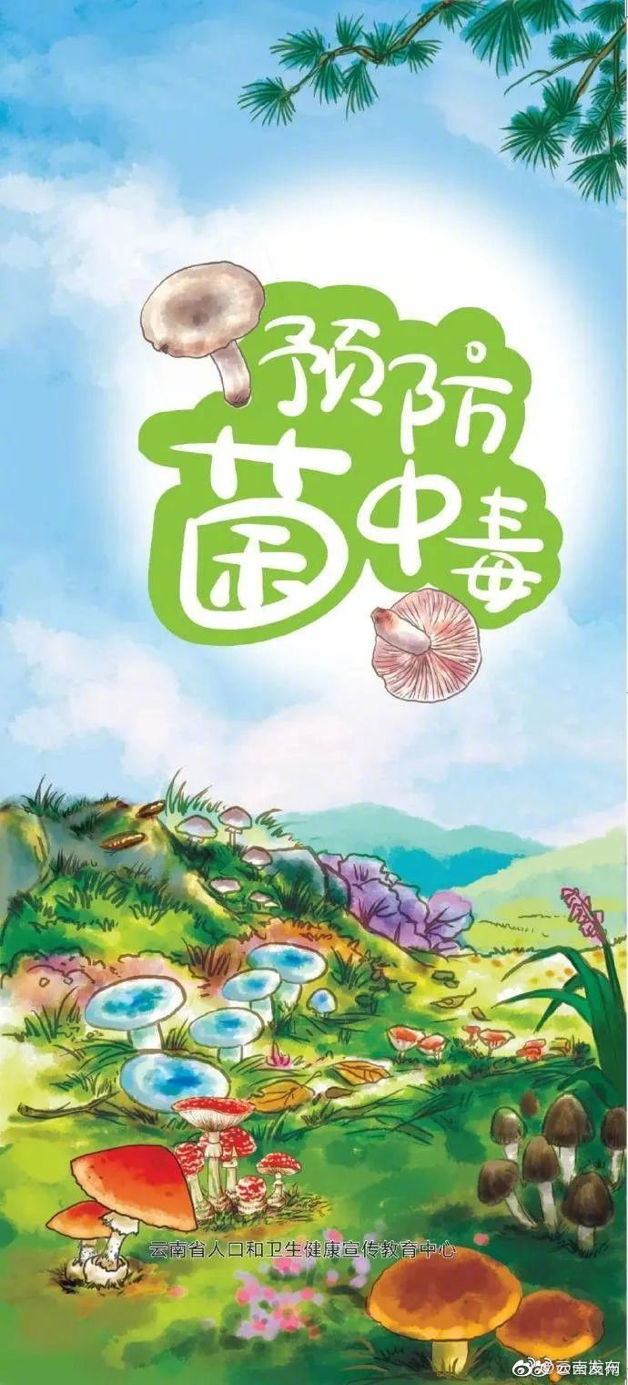 “云南发布”微博