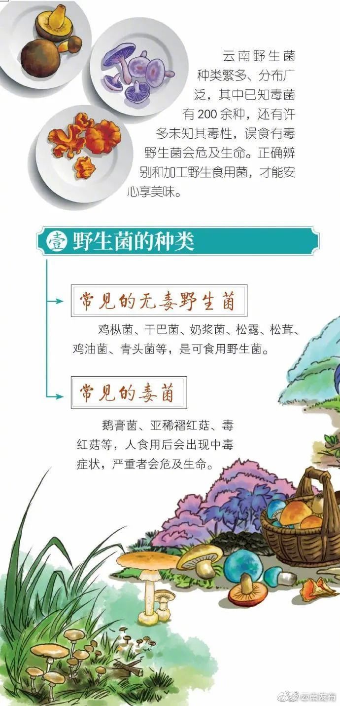 “云南发布”微博