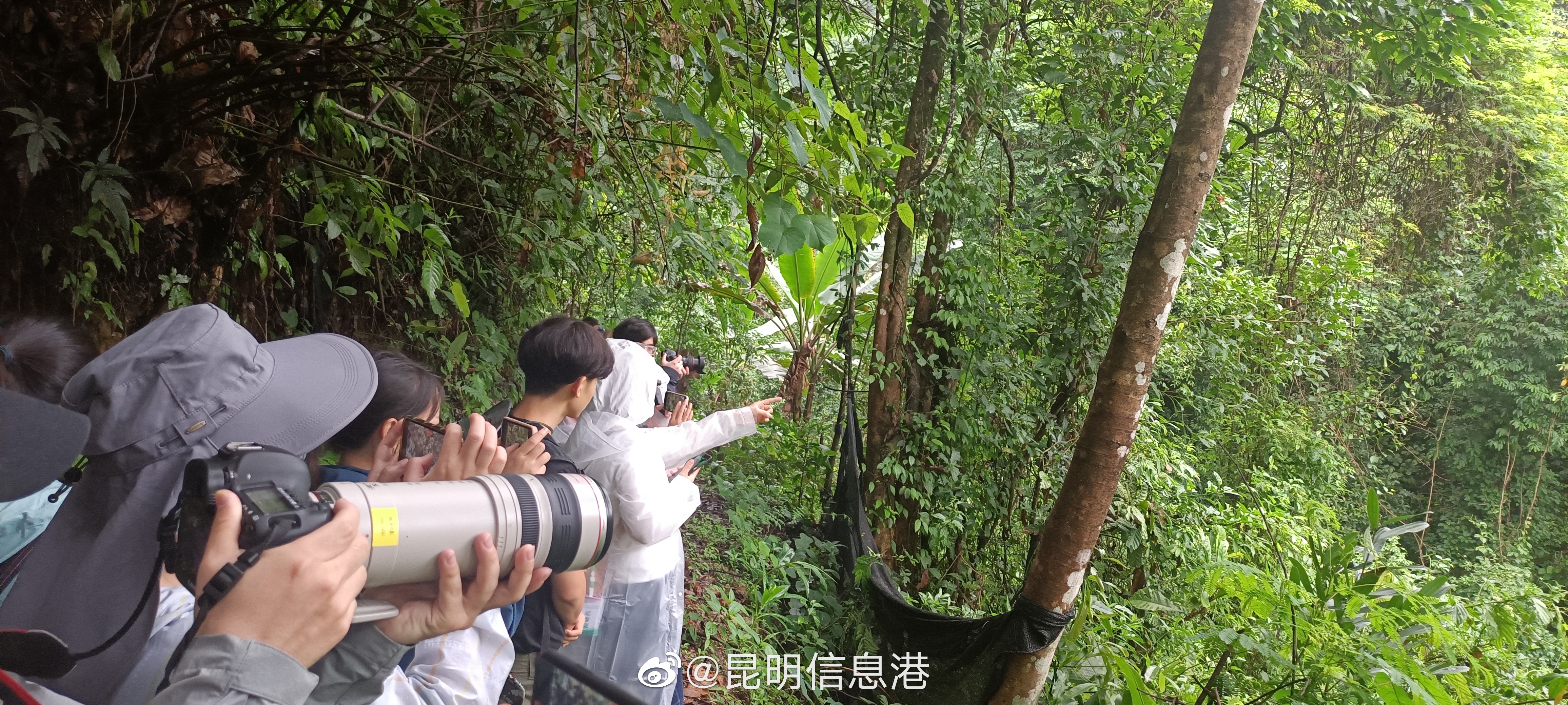 昆明信息港微博