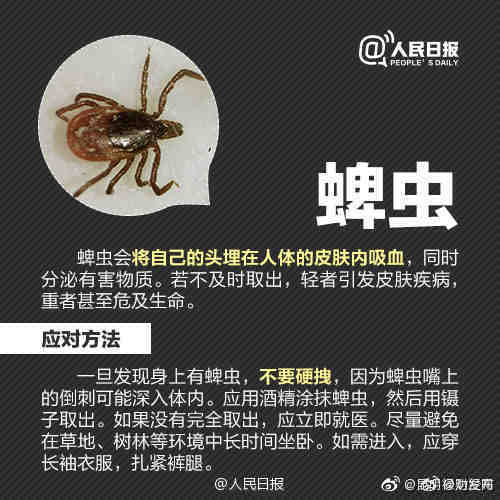 “昆明禄劝发布”微博