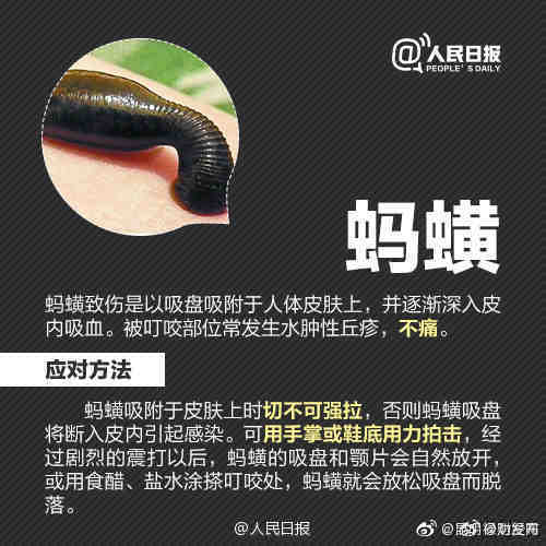 “昆明禄劝发布”微博