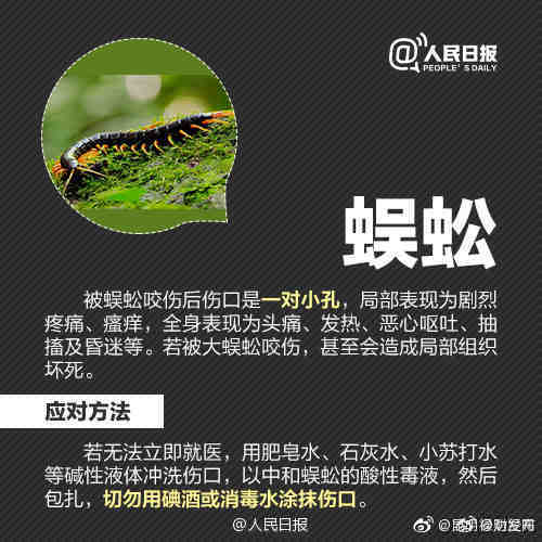 “昆明禄劝发布”微博