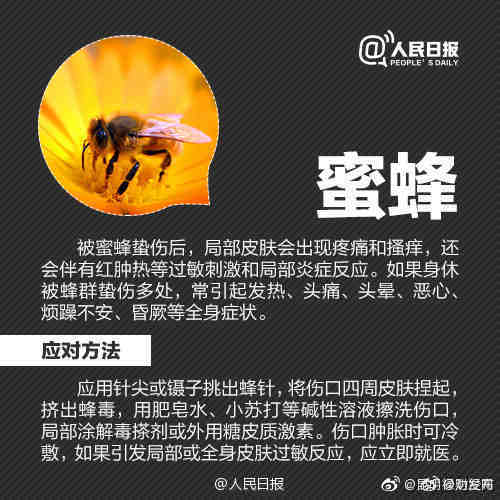 “昆明禄劝发布”微博