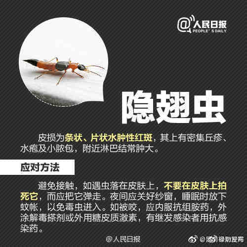 “昆明禄劝发布”微博