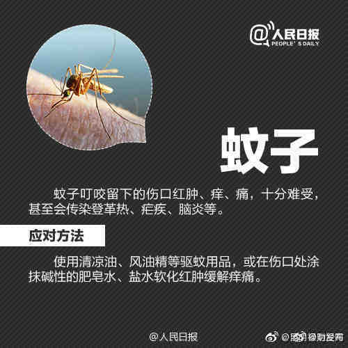 “昆明禄劝发布”微博