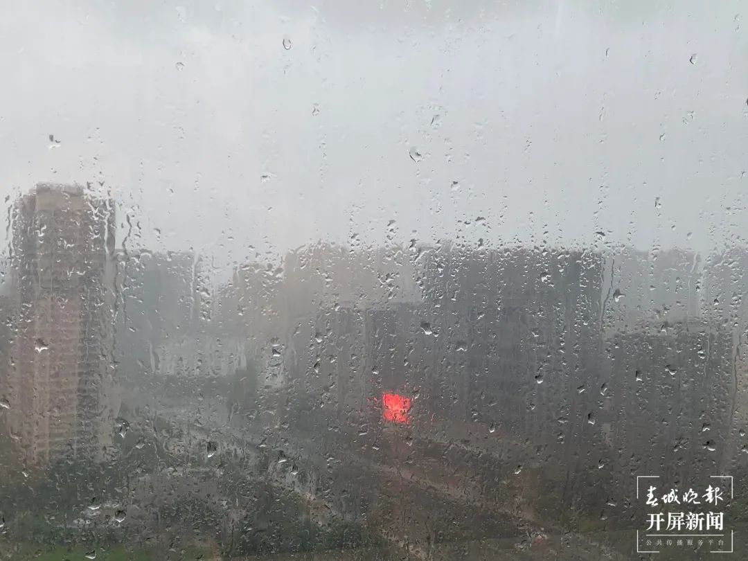 春城晚报(微信)