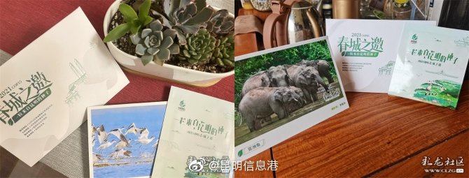 昆明信息港微博