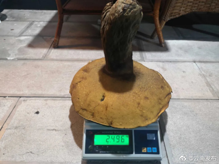 “云南发布”微博
