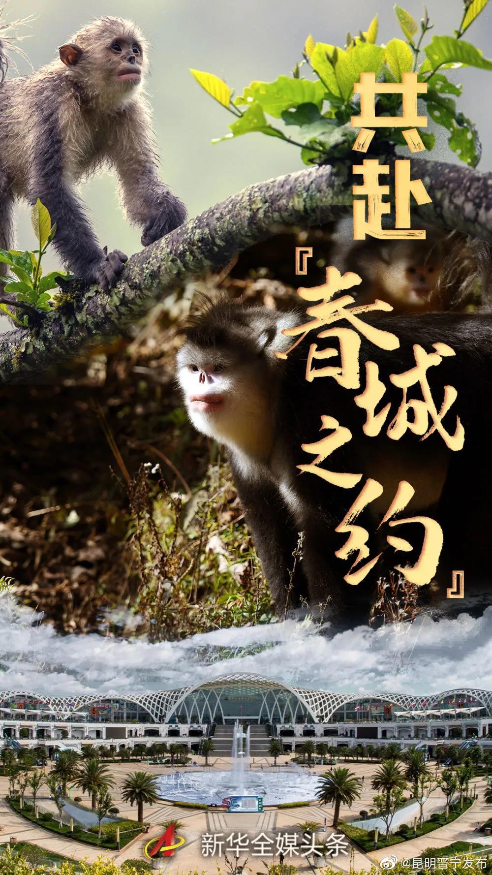 共赴“春城之约” ——COP15将描绘“人与自然和谐共生”新图景