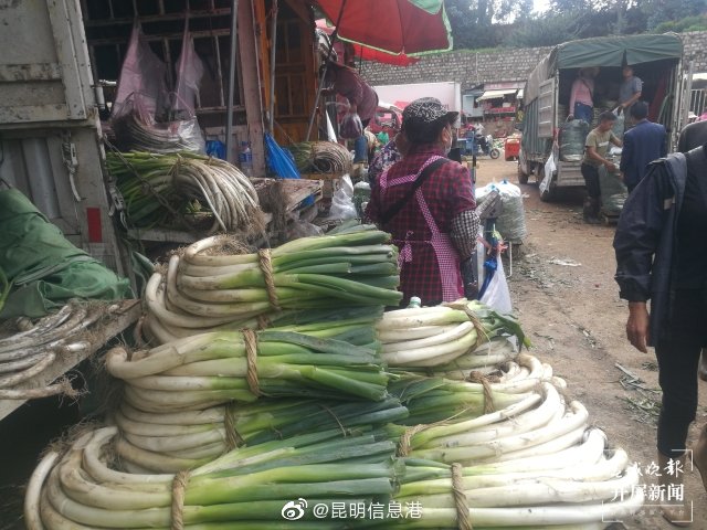 昆明信息港微博