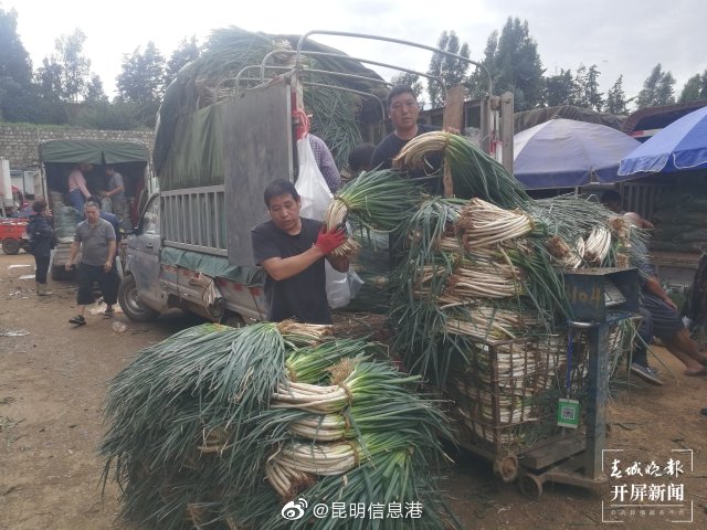 昆明信息港微博