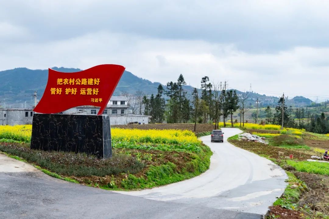 红色扎西(微信)
