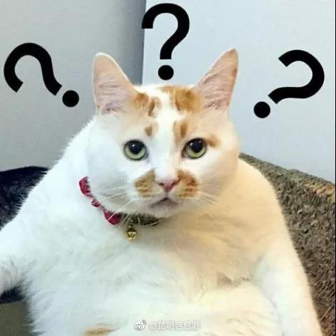 昆明信息港微博