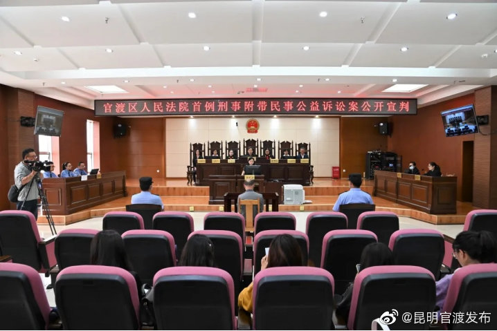 大象那么可爱，为什么要伤害它呢？