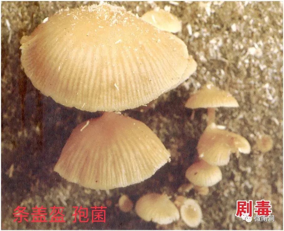 健康腾冲