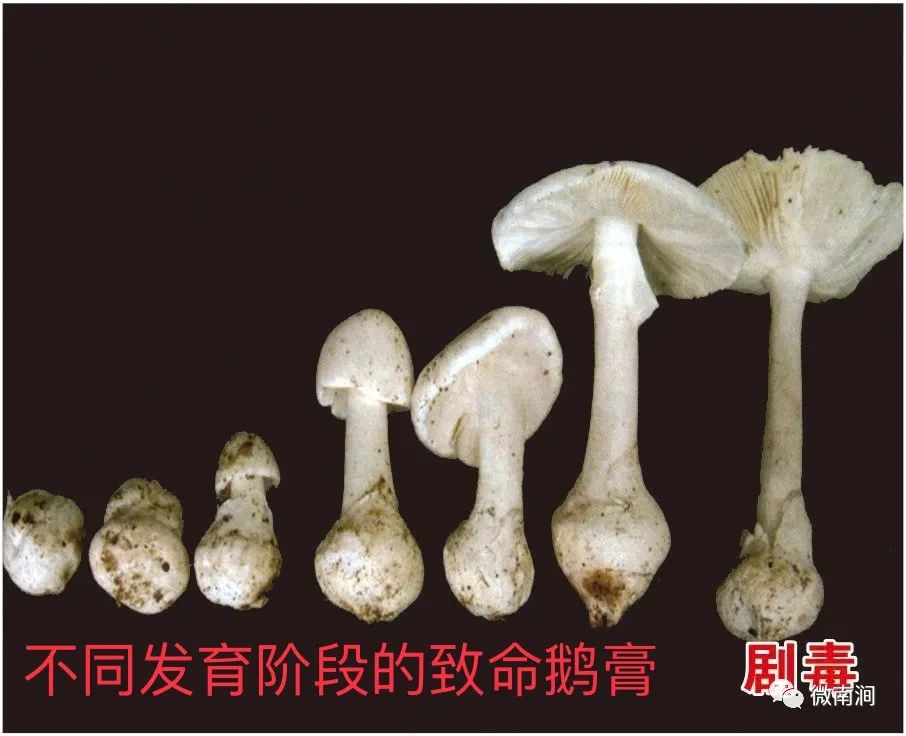 健康腾冲