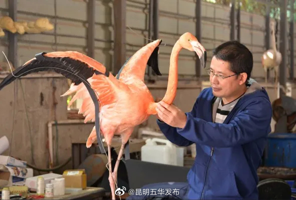 “昆明五华发布”微博