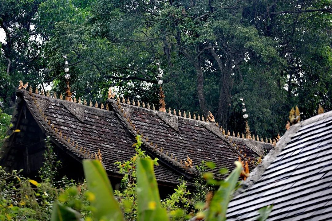 普洱日报(微信)