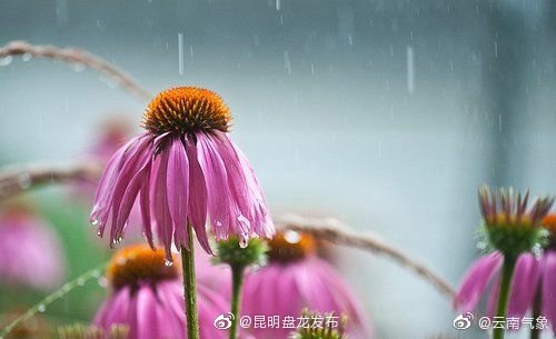 云南省未来24小时天气预报