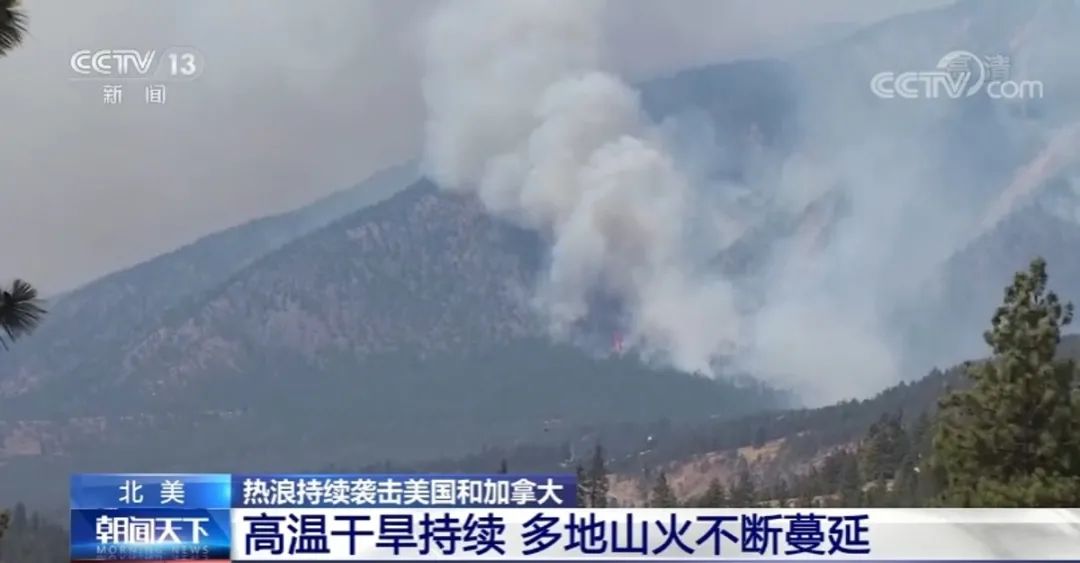 春城晚报(微信)