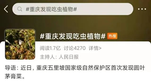 春城晚报(微信)