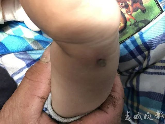 春城晚报(微信)