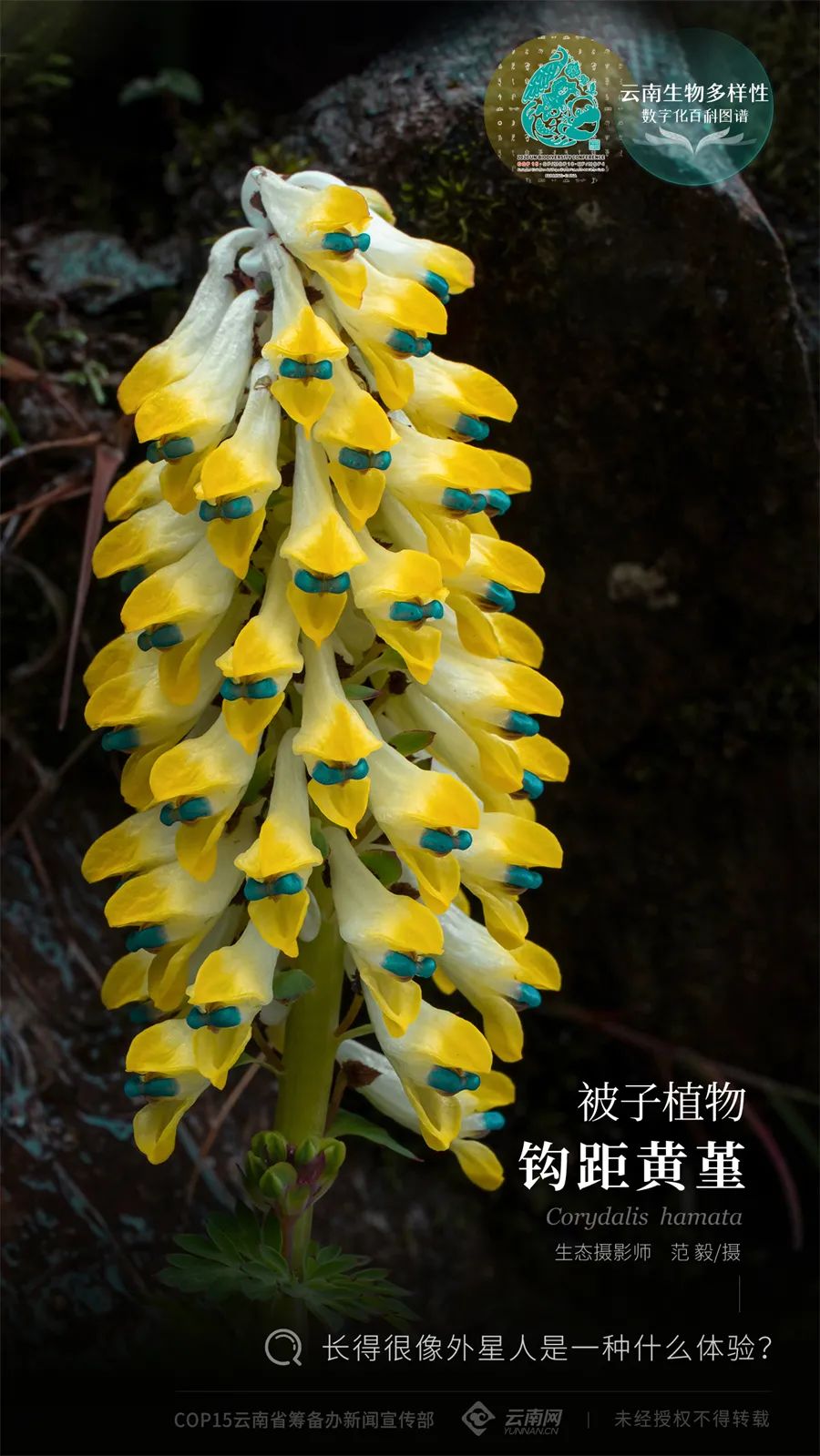 云南省人民政府网