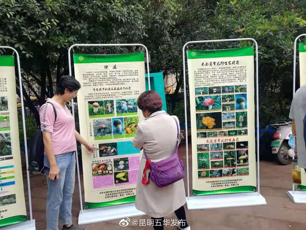 “昆明五华发布”微博
